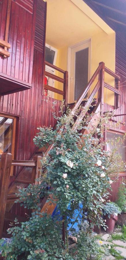 Casa Boierului Imbri Vila Cîrţişoara Exterior foto