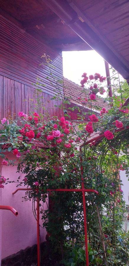 Casa Boierului Imbri Vila Cîrţişoara Exterior foto