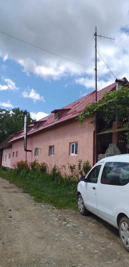 Casa Boierului Imbri Vila Cîrţişoara Exterior foto