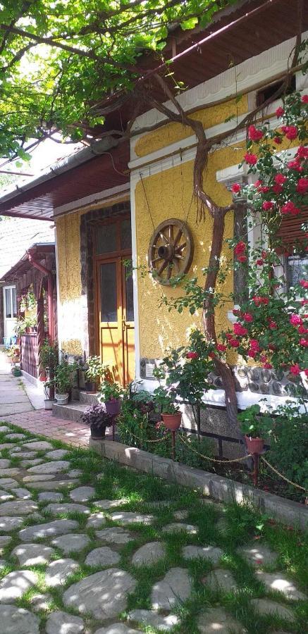 Casa Boierului Imbri Vila Cîrţişoara Exterior foto
