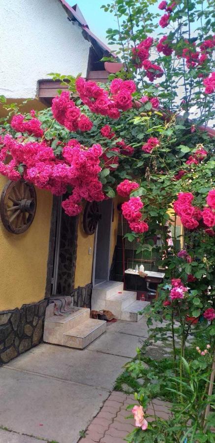 Casa Boierului Imbri Vila Cîrţişoara Exterior foto